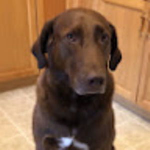 Meet your Posher, Jocelyn